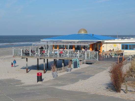Aphrodite Met Zonnig Terras, Eigen Keuken, Verwarmd Hotel-Zwembad, Nabij Dorp, Duinen En Strand Hollum  Eksteriør bilde